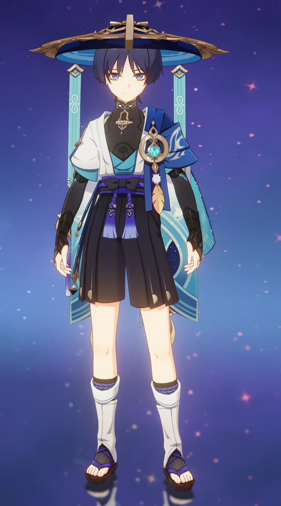 Wanderer — Splash / card