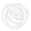 Seele — In-game style shot